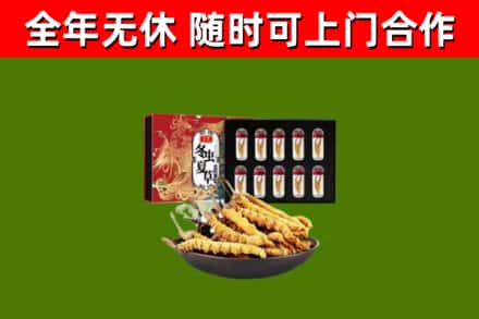 清河回收冬虫夏草价格
